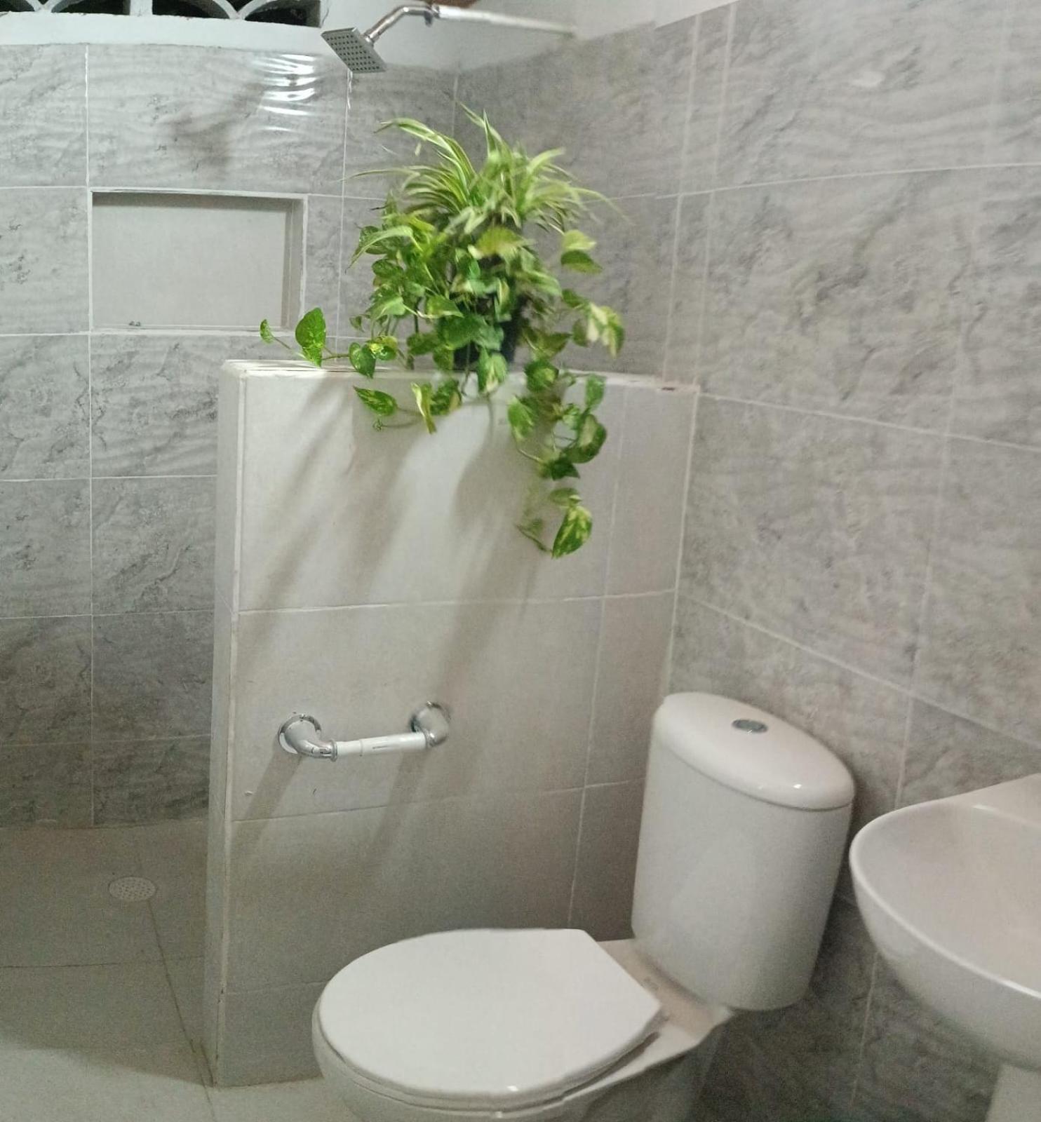Ortimar Bed & Breakfast Tolu Luaran gambar
